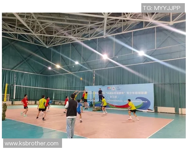 成都排球队排球意识创新高引领全国水平提升新篇章