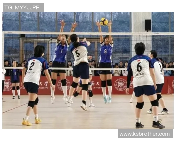 西安排球队实力引发热议球迷对排球战术与选手表现的不同看法