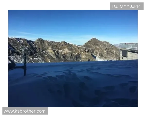 探索阿拉巴的魅力与文化深度体验之旅