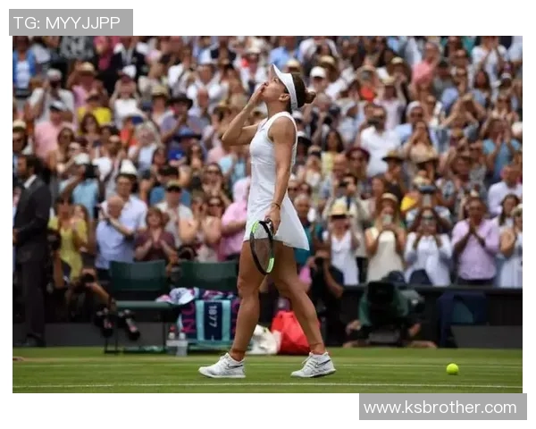 李娜与毛瑞斯莫巅峰对决回顾：网球场上的传奇之战与激情碰撞