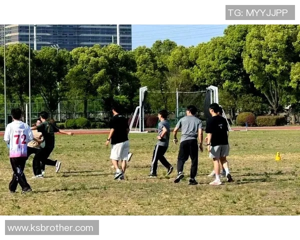 飞盘竞技与团队精神的完美结合杭州飞盘队协作模式深度解析