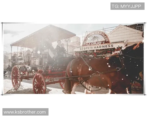 南墨尔本与海德堡激战正酣谁能在这场较量中笑到最后